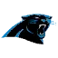 NFL Preseason Kicks Off: Panthers Top Cardinals as Haynes King Draws Spotlight
