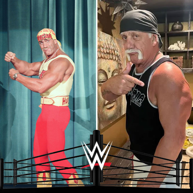Hulk Hogan 1