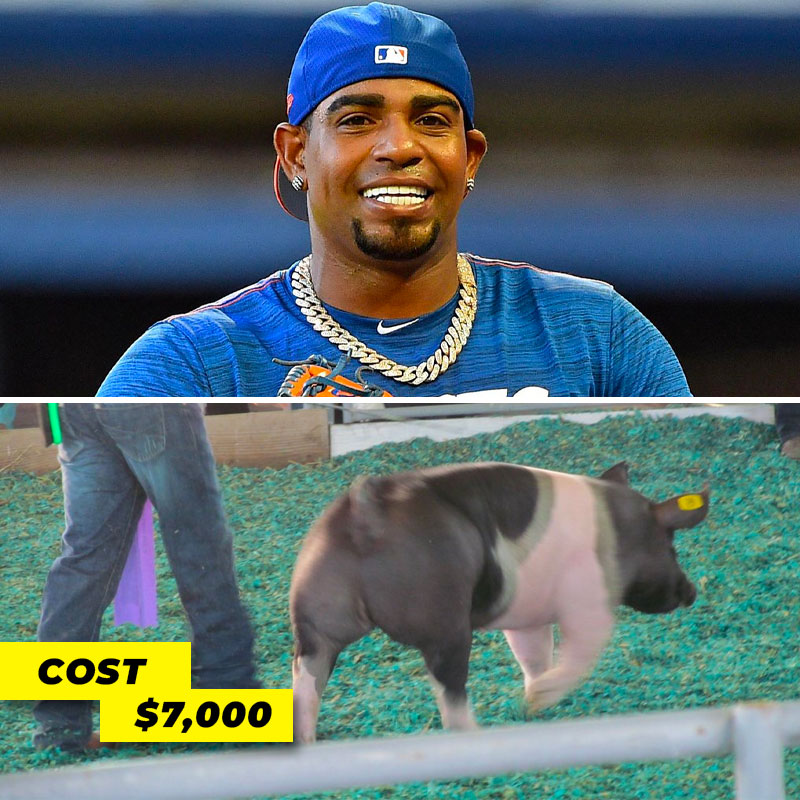 Yoenis Cespedes 2