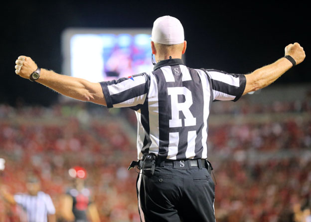 Overview of NFL Refereeing