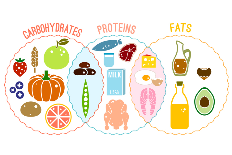 Understanding macronutrients
