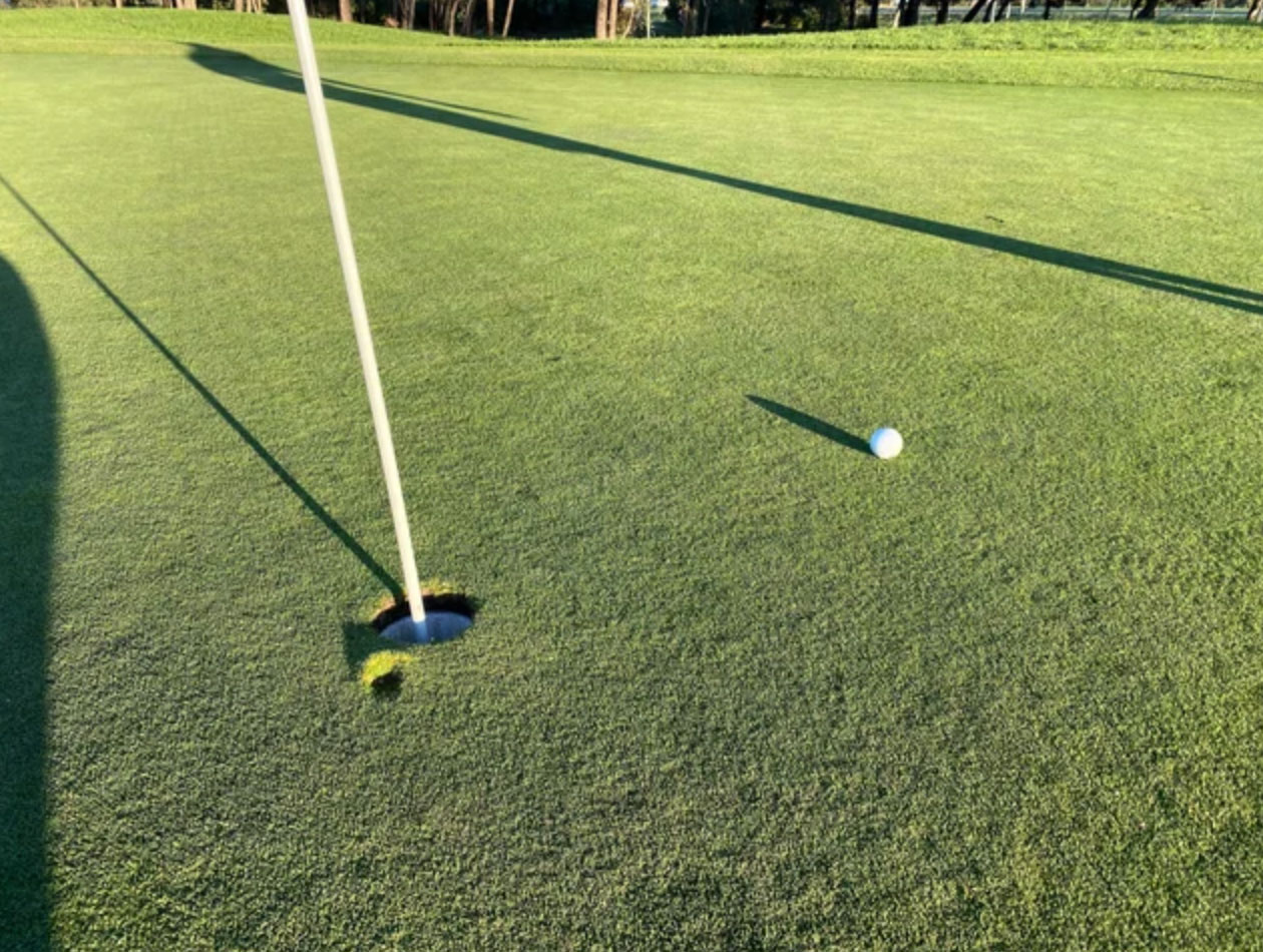 how many holes in golf_457b95d2 98a1 4baf b4d2 b79897224d28