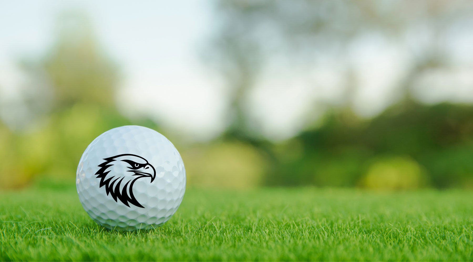 what is an eagle in golf_0f0520e5 9a69 4728 a08b 4997a889008a