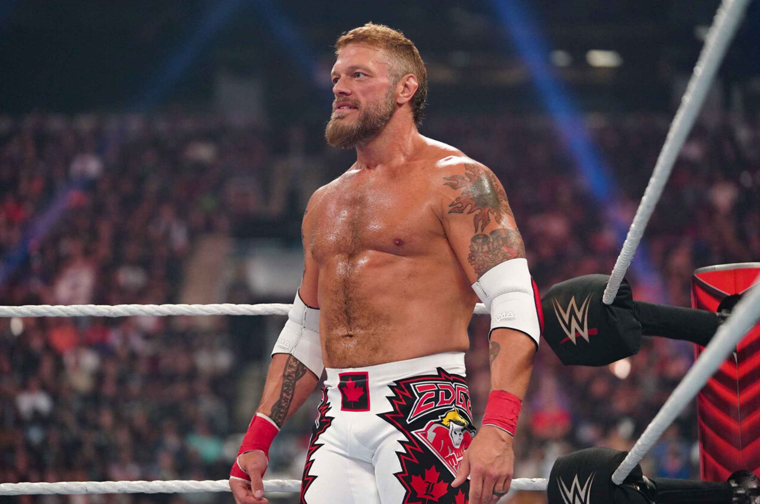 highest paid wwe wrestlers_e7cc0d2f 7262 4317 bd2c b52fa145fc47