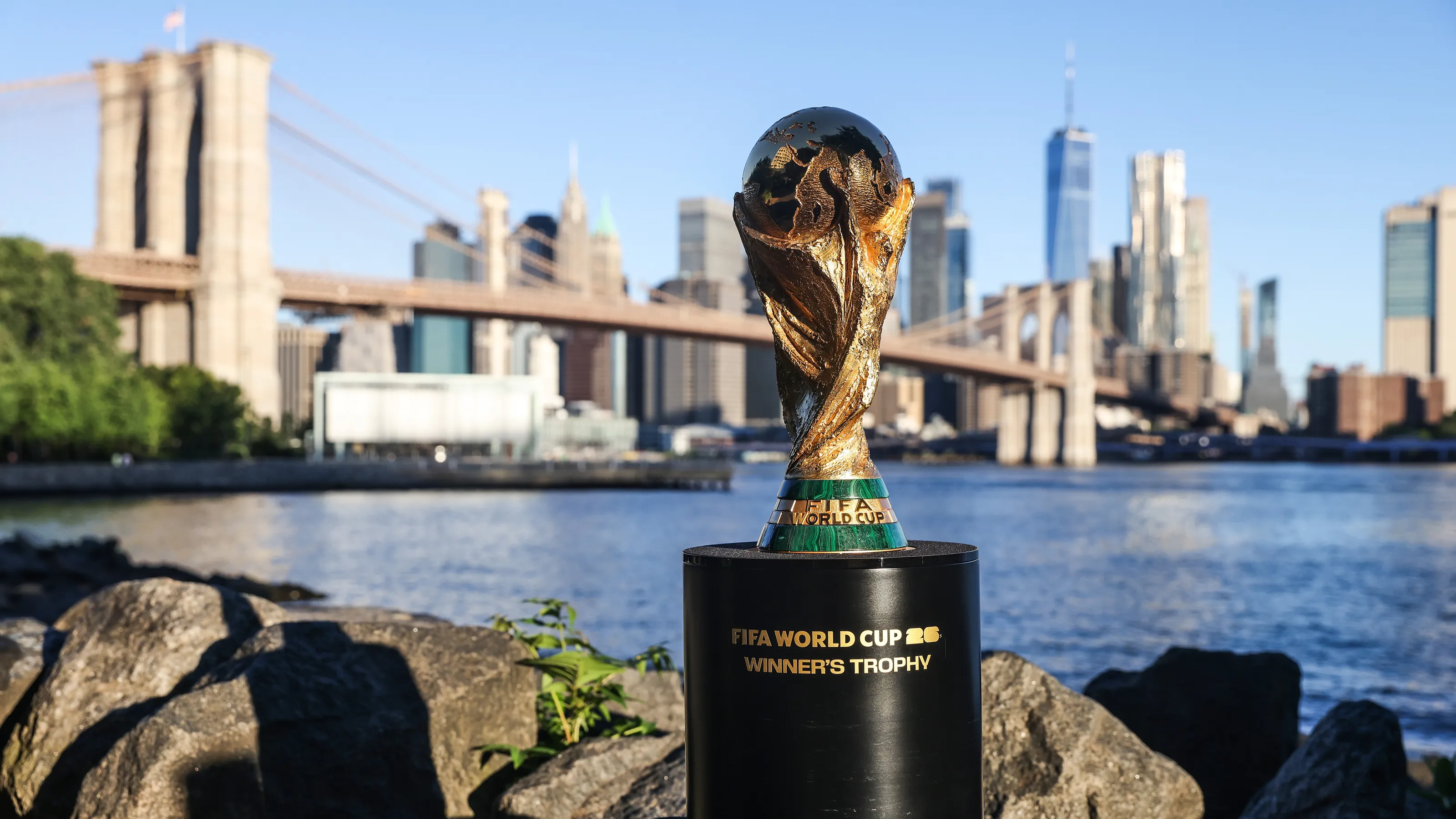 1775055308902_88796996007 msa 4409 xlv 2 i 8 fc