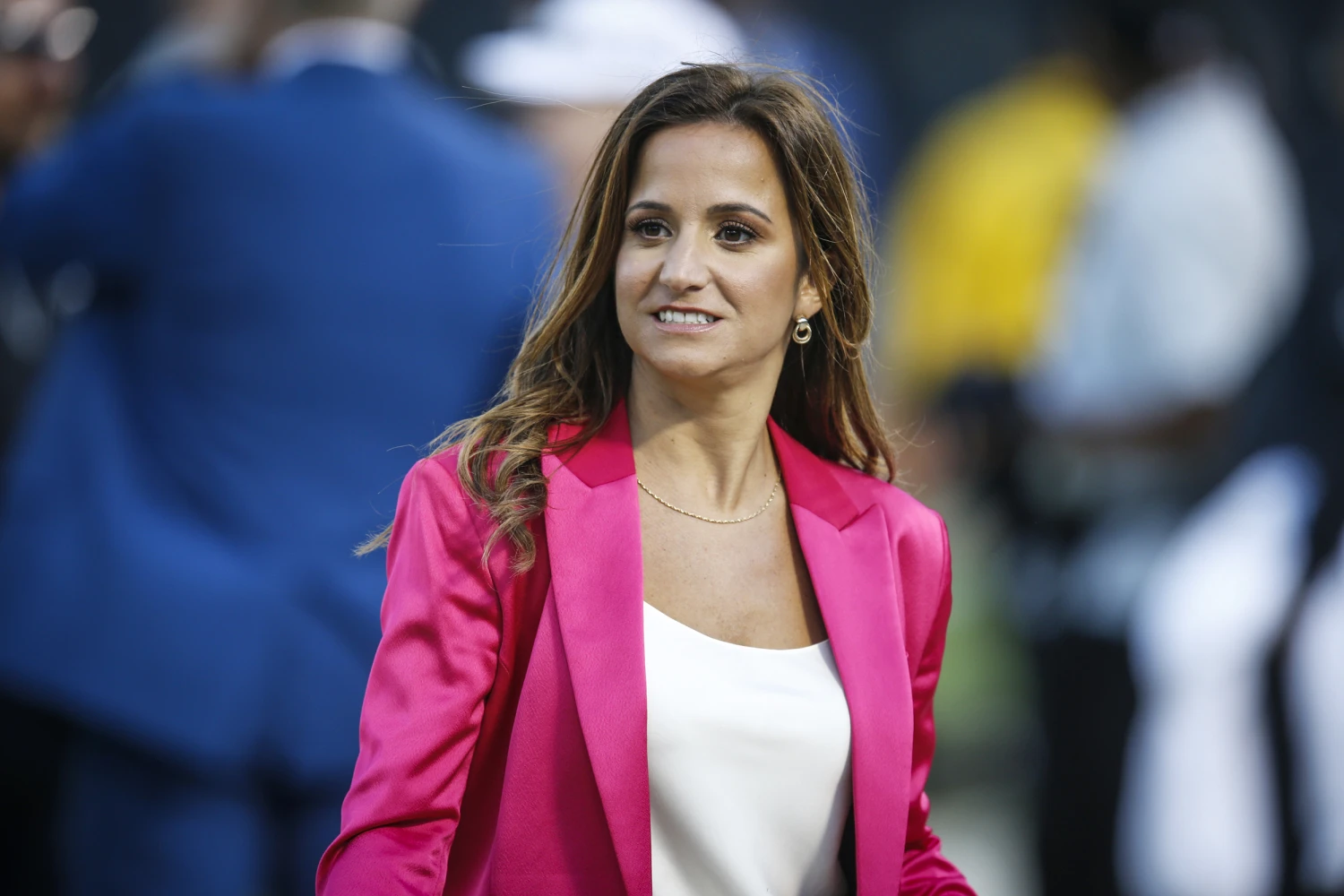 Dianna Russini Resigns from The Athletic Amid Mike Vrabel Photo Scandal